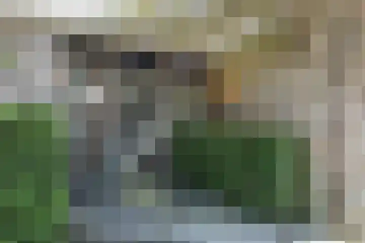 Quintuslaan 25 Groningen thumbnail 7