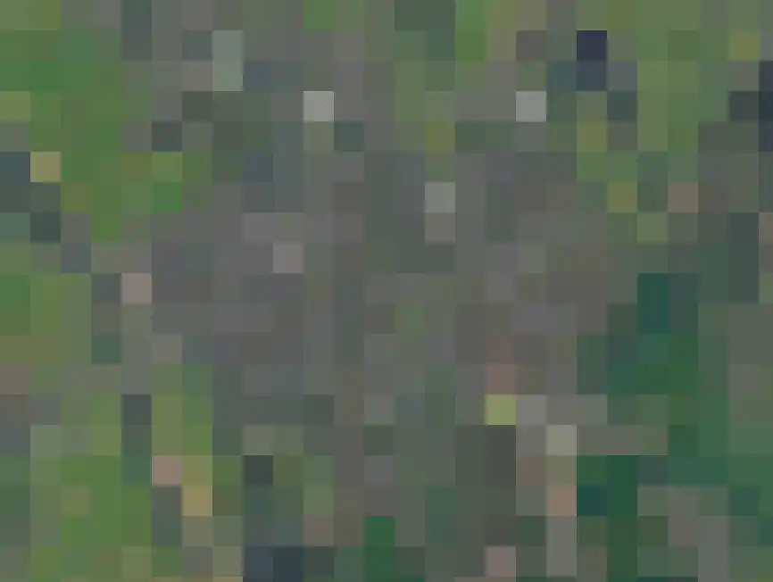 Quintusweg 9 Haren Gn thumbnail 6