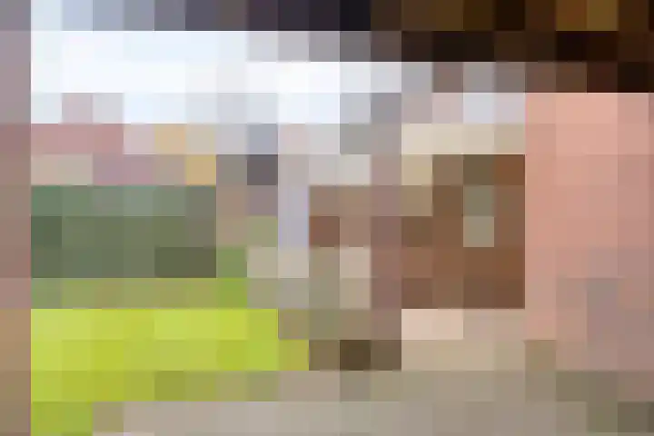 Quinveldweg 1 Afferden L thumbnail 27