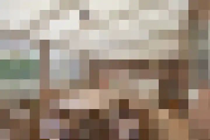 Quinveldweg 1 Afferden L thumbnail 29