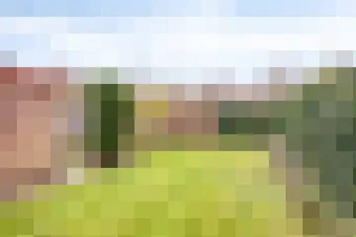 Quinveldweg 1 Afferden L thumbnail 32