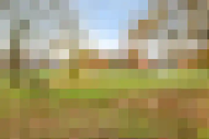 Quinveldweg 1 Afferden L thumbnail 37