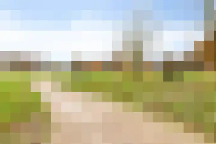 Quinveldweg 1 Afferden L thumbnail 38
