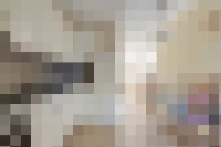 Quinveldweg 15 Afferden L thumbnail 13