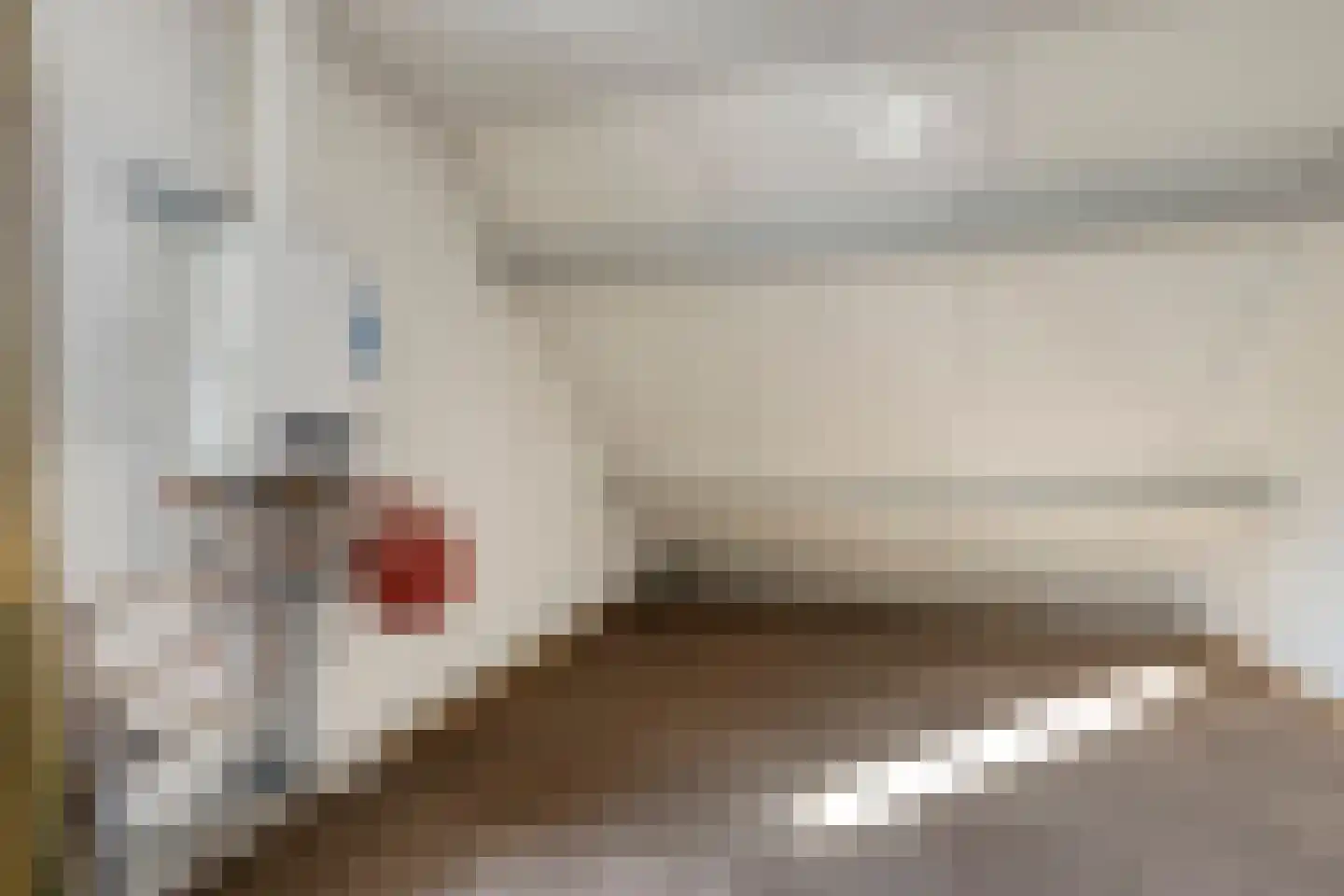 Quinveldweg 15 Afferden L thumbnail 22