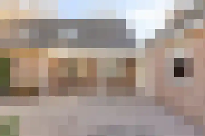 Quinveldweg 15 Afferden L thumbnail 27