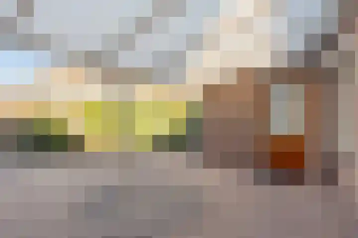 Quinveldweg 15 Afferden L thumbnail 29