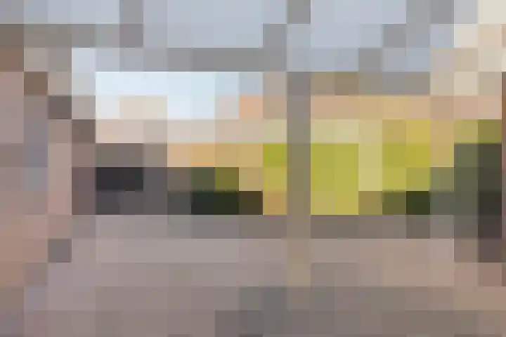 Quinveldweg 15 Afferden L thumbnail 30