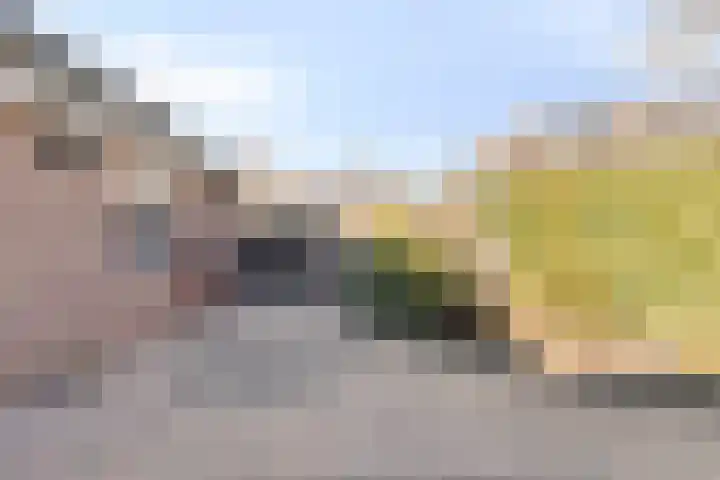Quinveldweg 15 Afferden L thumbnail 31