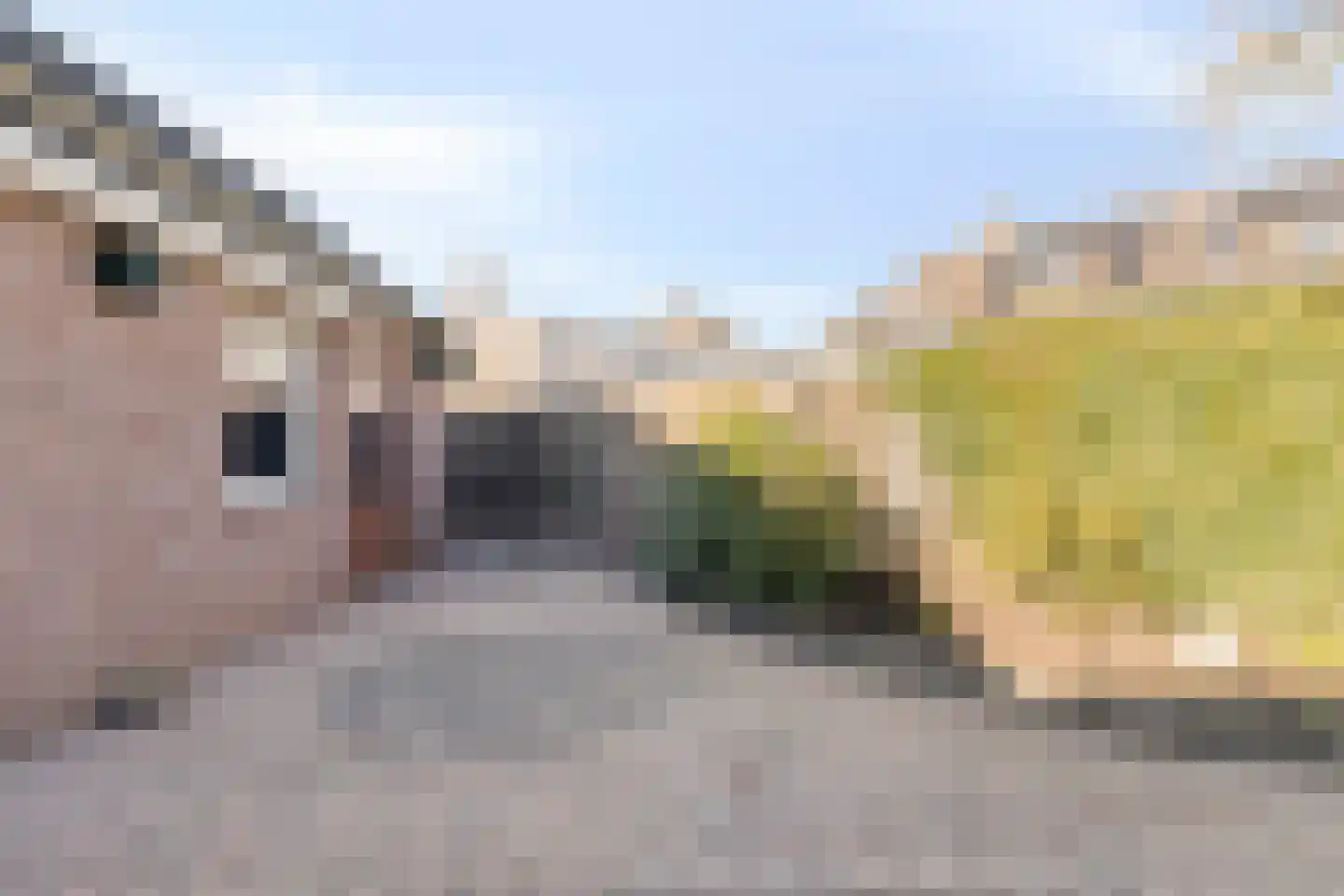 Quinveldweg 15 Afferden L thumbnail 31