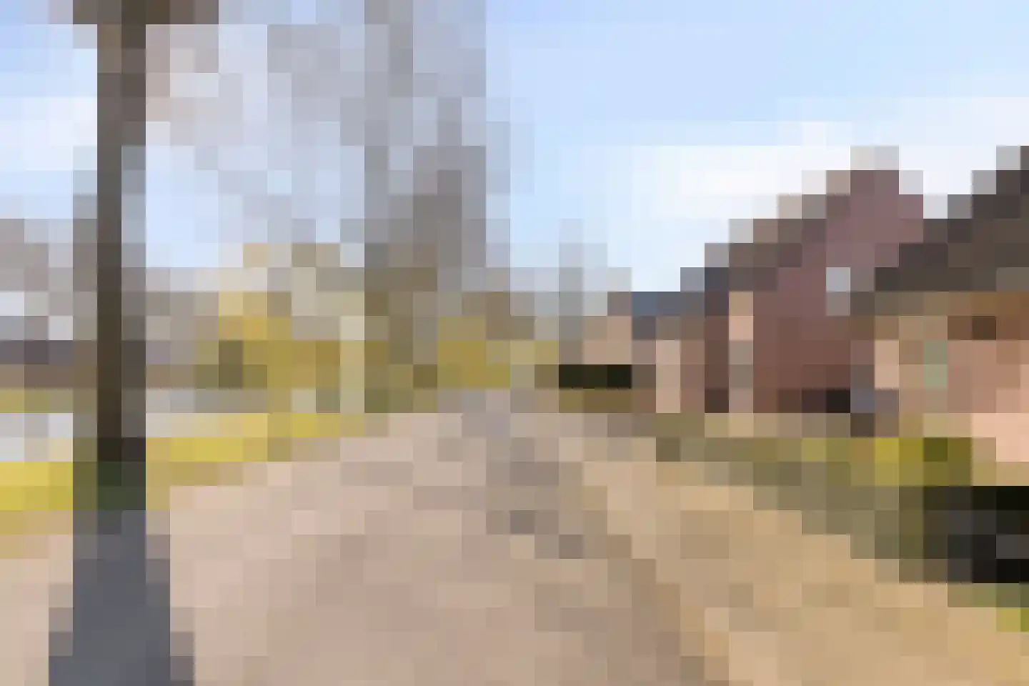 Quinveldweg 15 Afferden L thumbnail 39