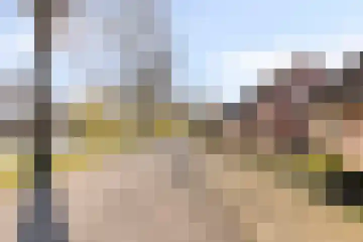 Quinveldweg 15 Afferden L thumbnail 39