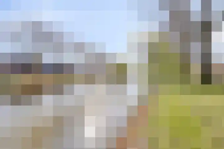 Quinveldweg 15 Afferden L thumbnail 40