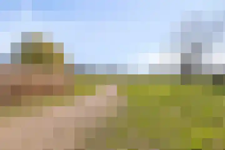 Quinveldweg 15 Afferden L thumbnail 41