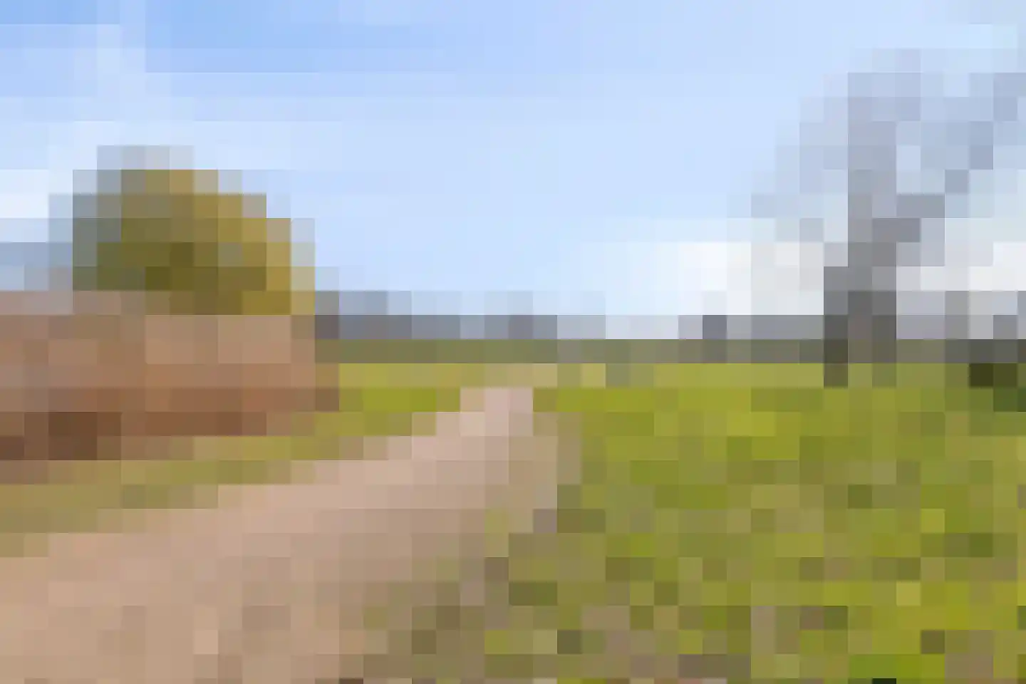 Quinveldweg 15 Afferden L thumbnail 41