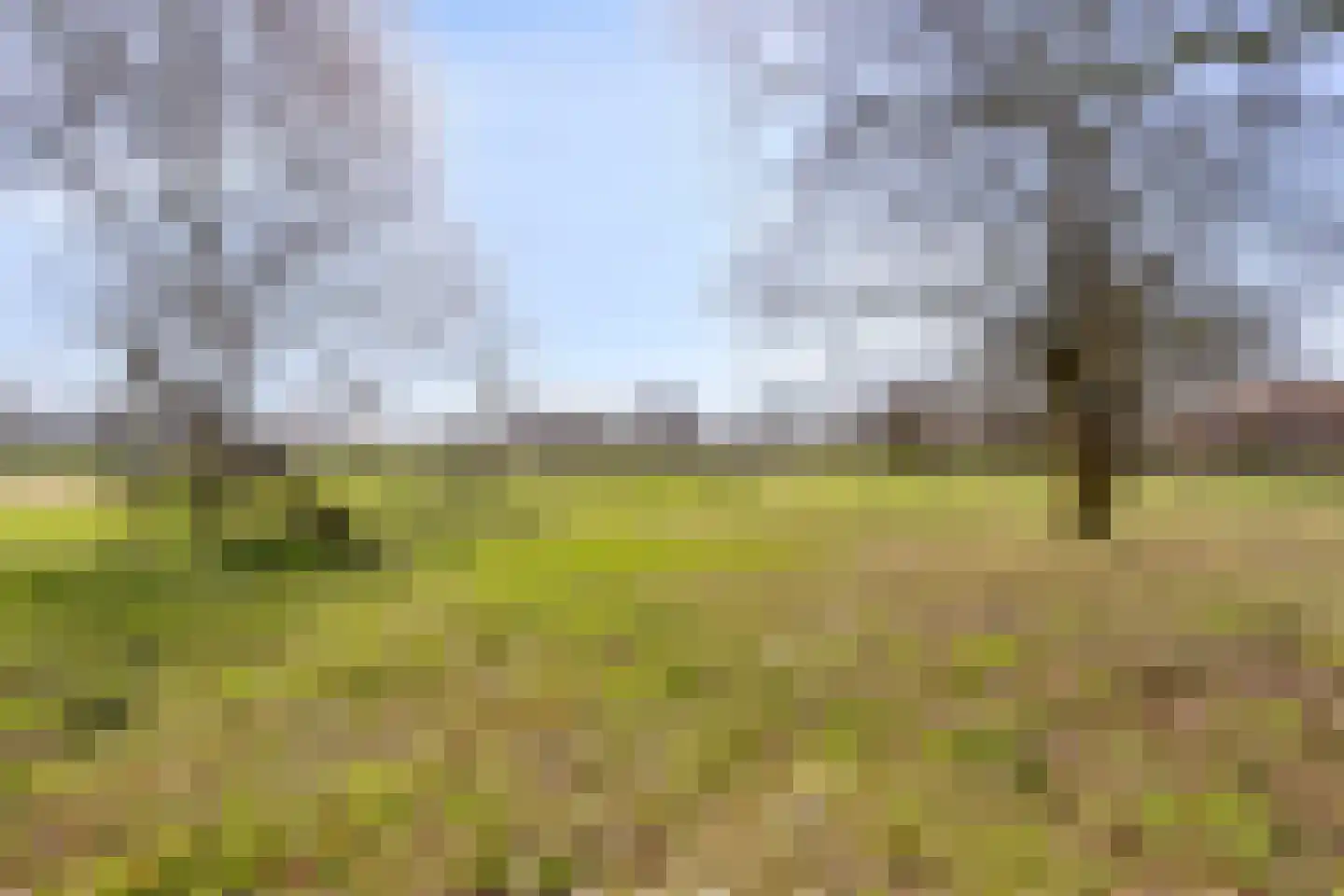 Quinveldweg 15 Afferden L thumbnail 42