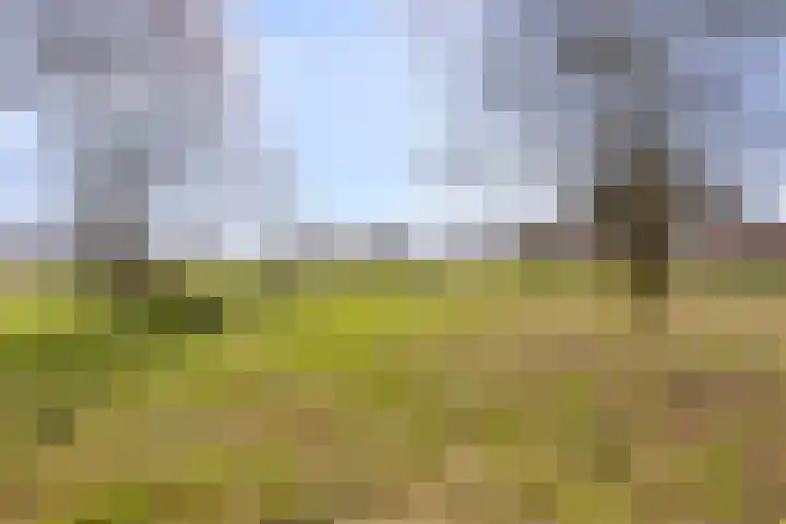 Quinveldweg 15 Afferden L thumbnail 42