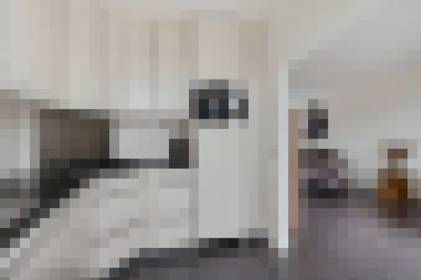 Quirijn van Amelsfoortstraat 27 Rosmalen thumbnail 11