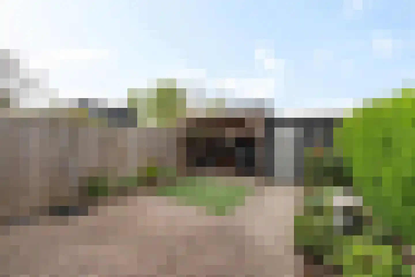 Quirijn van Amelsfoortstraat 27 Rosmalen thumbnail 29