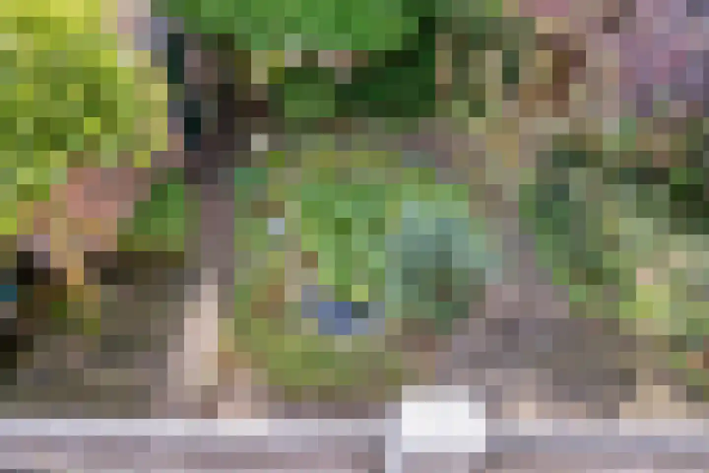 Quirijn van Amelsfoortstraat 36 Rosmalen thumbnail 35