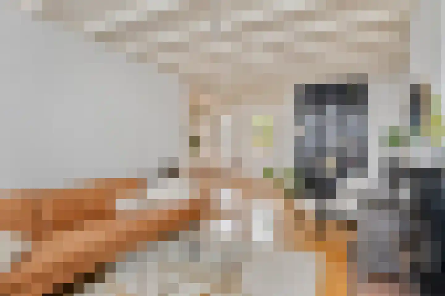 Quirijn van Amelsfoortstraat 36 Rosmalen thumbnail 4