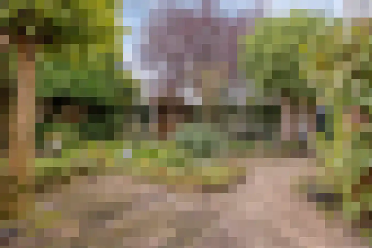 Quirijn van Amelsfoortstraat 36 Rosmalen thumbnail 46
