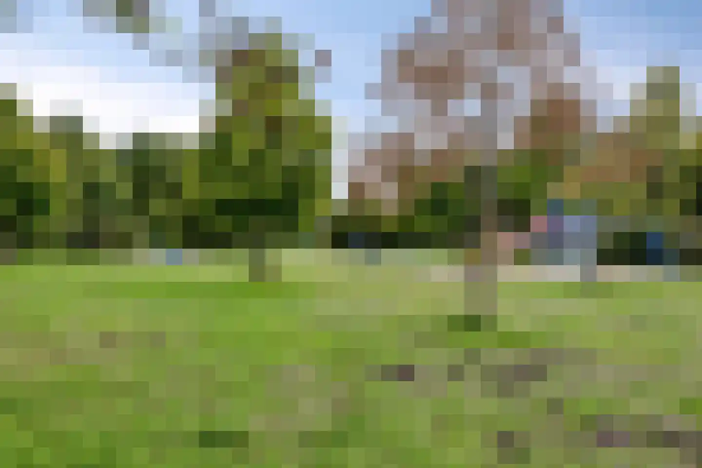Quirijn van Amelsfoortstraat 36 Rosmalen thumbnail 56