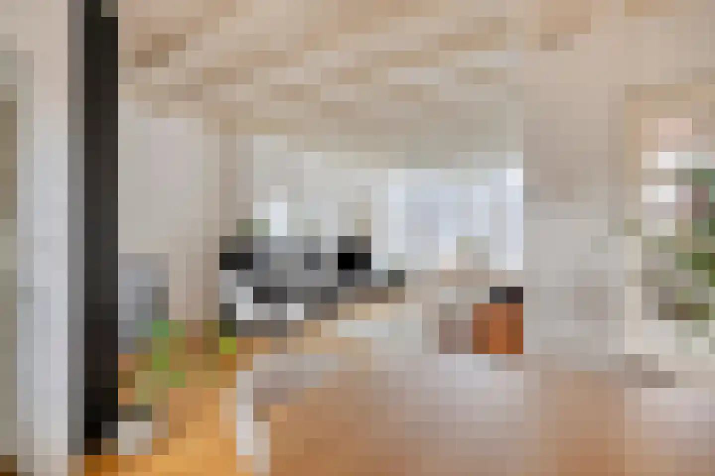 Quirijn van Amelsfoortstraat 36 Rosmalen thumbnail 8