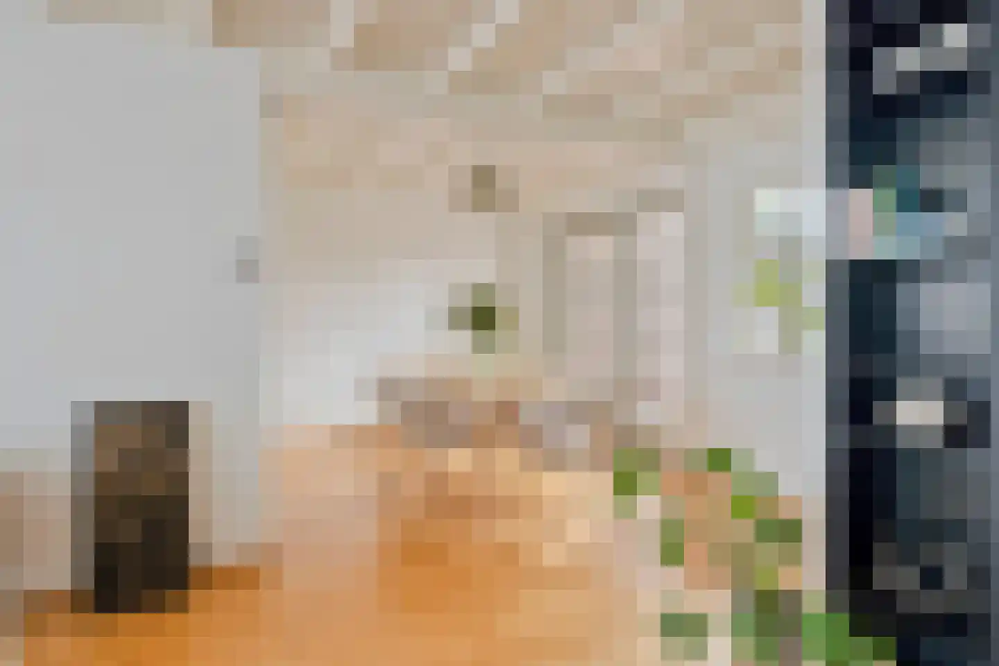 Quirijn van Amelsfoortstraat 36 Rosmalen thumbnail 9