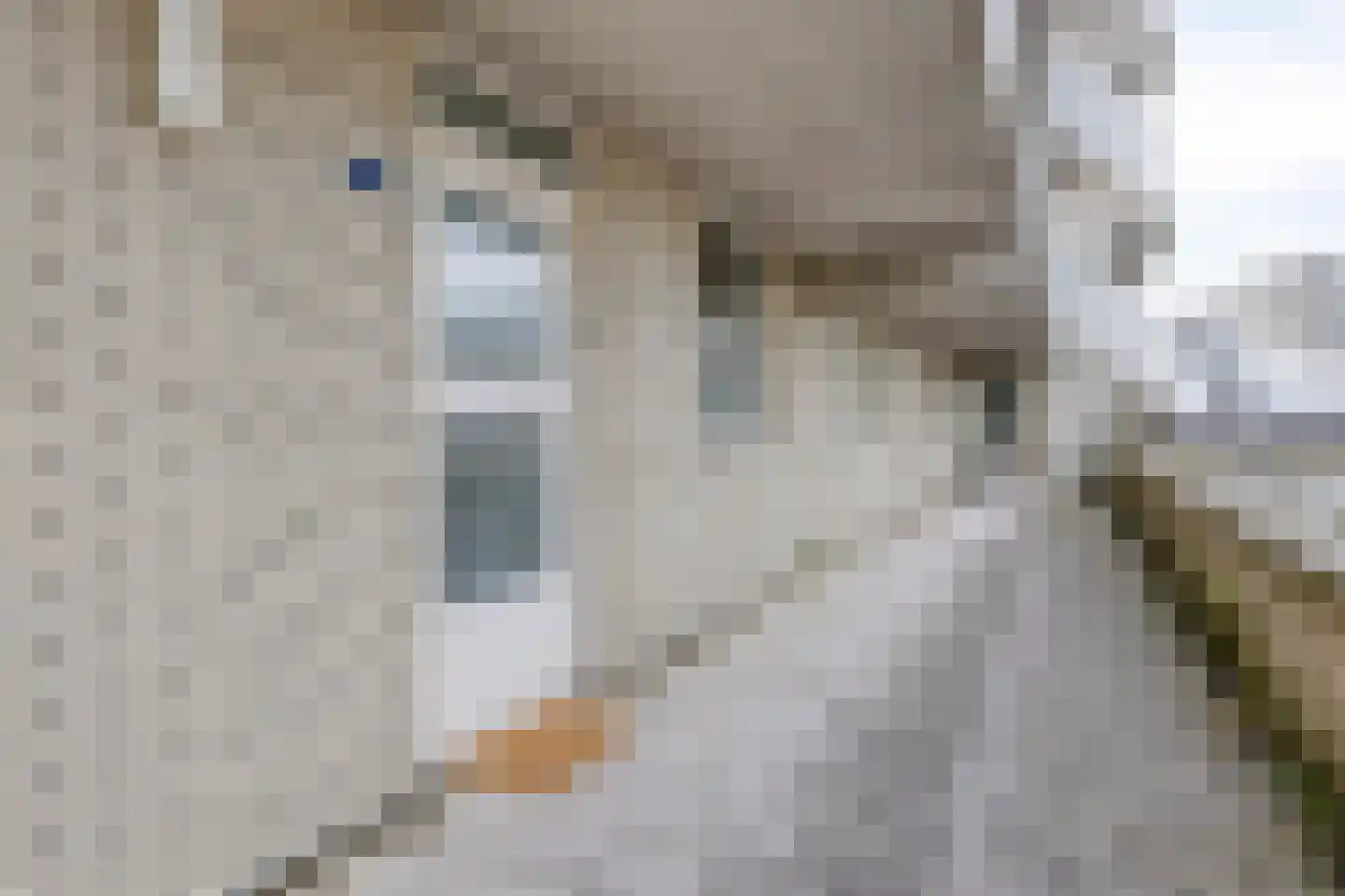Quirinegang 119 Zoetermeer thumbnail 19