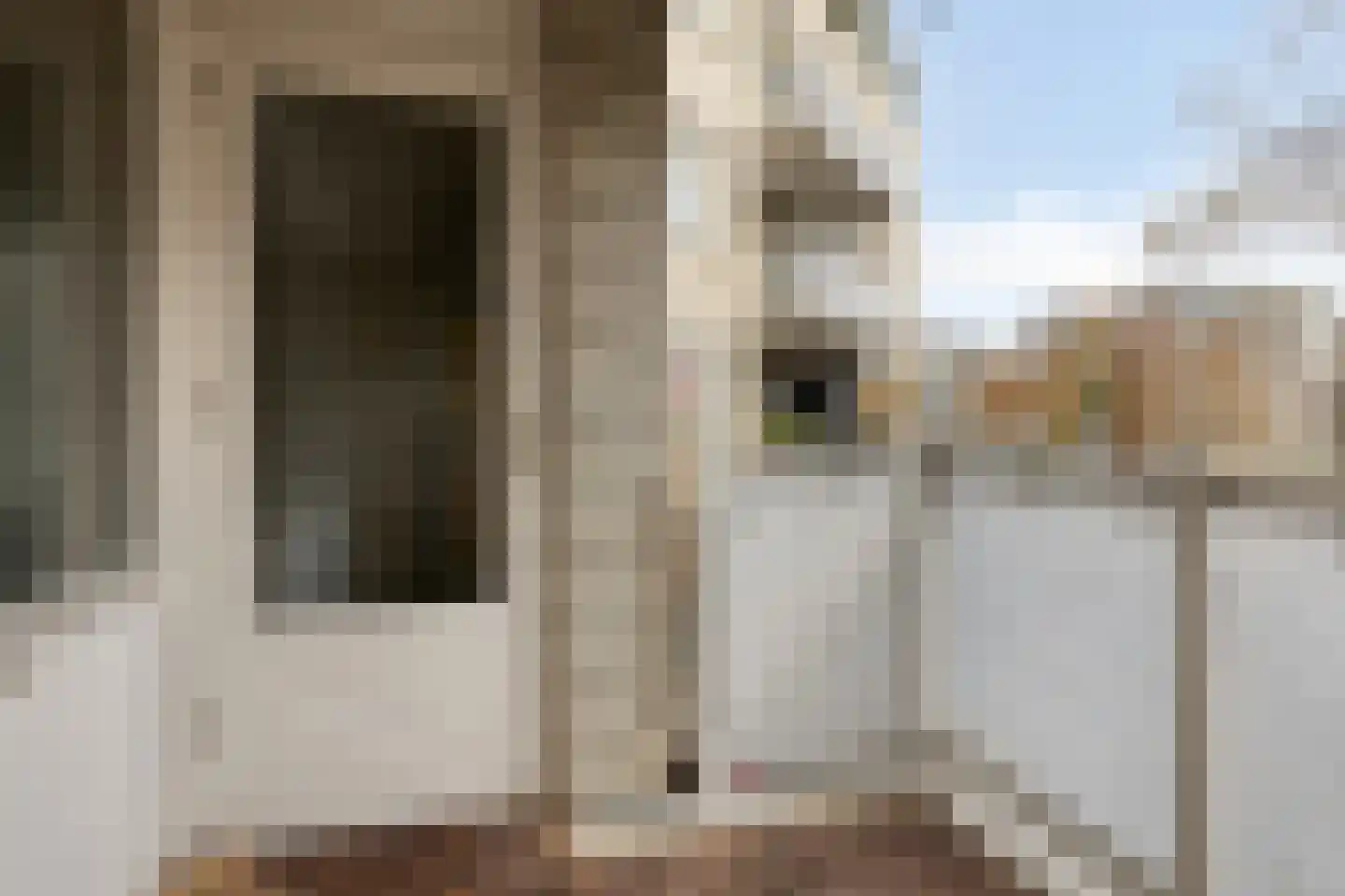 Quirinegang 119 Zoetermeer thumbnail 9