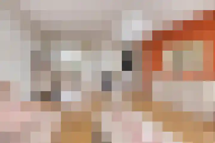 Quirinegang 147 Zoetermeer thumbnail 12