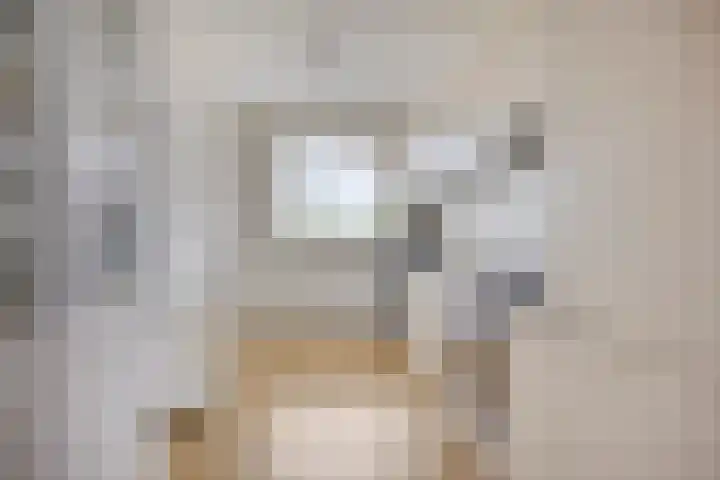 Quirinegang 147 Zoetermeer thumbnail 13