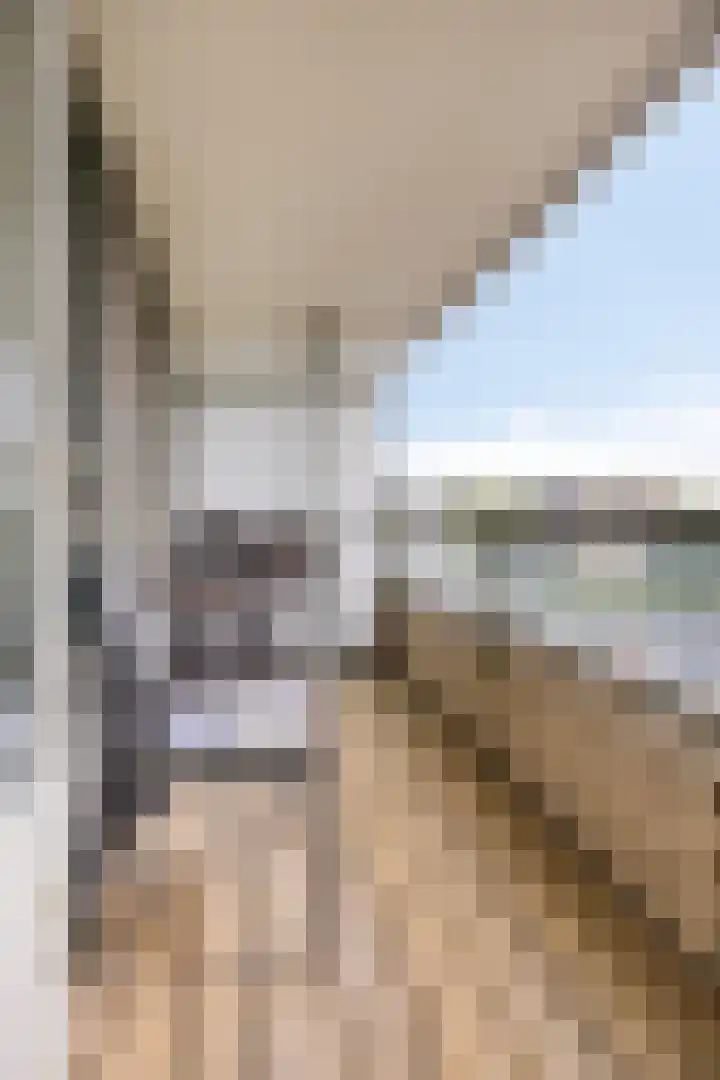 Quirinegang 147 Zoetermeer thumbnail 19