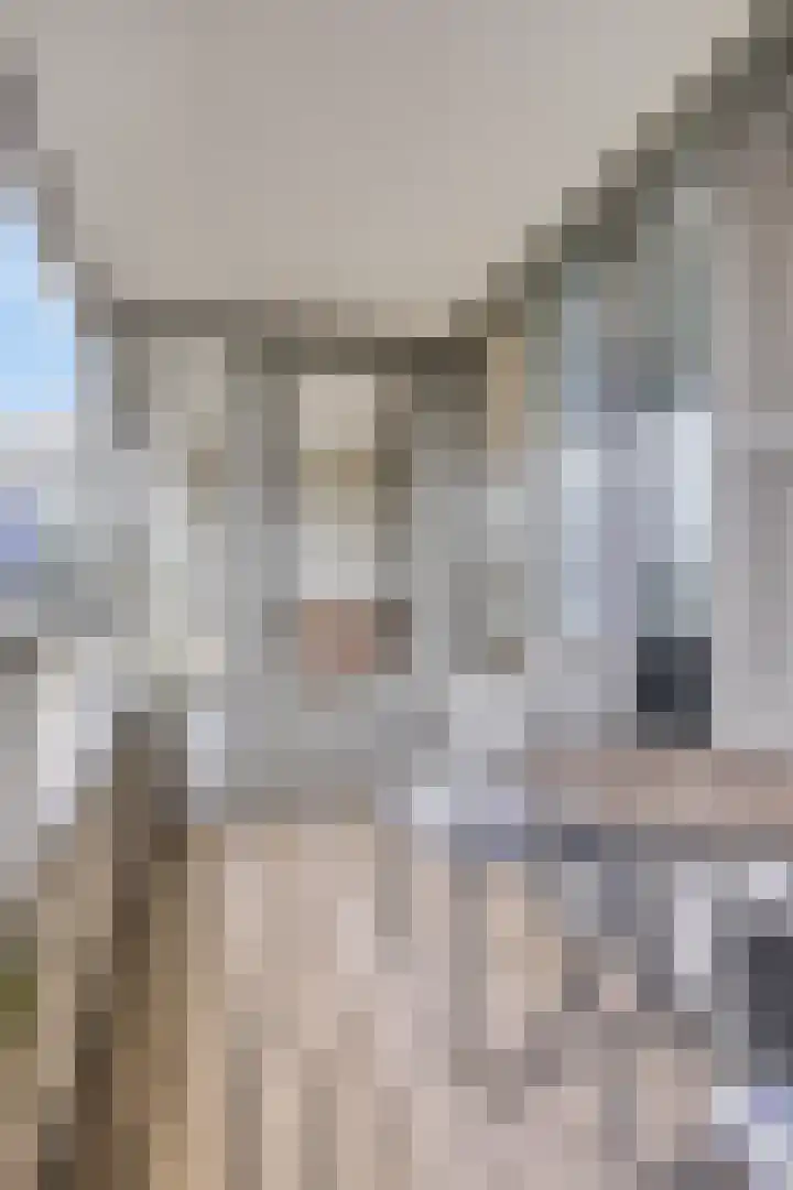 Quirinegang 147 Zoetermeer thumbnail 20