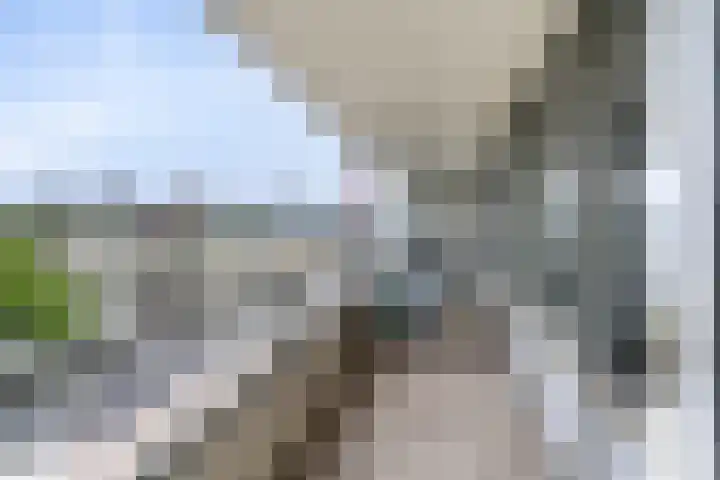 Quirinegang 149 Zoetermeer thumbnail 14