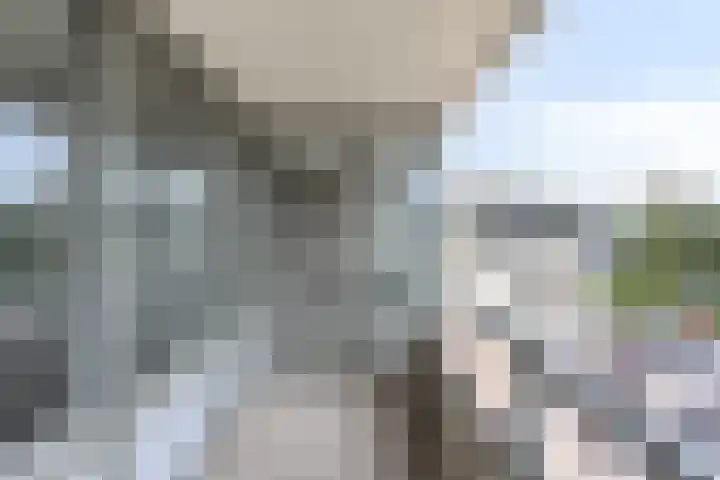 Quirinegang 149 Zoetermeer thumbnail 15