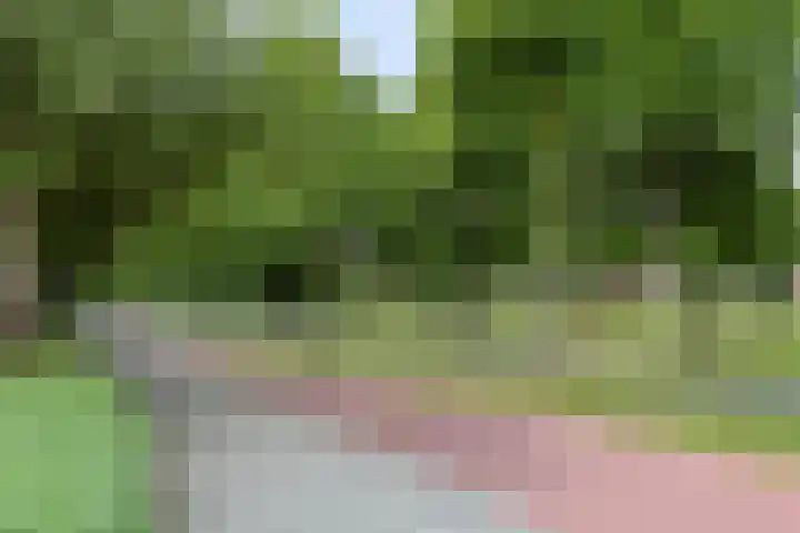 Quirinegang 149 Zoetermeer thumbnail 21