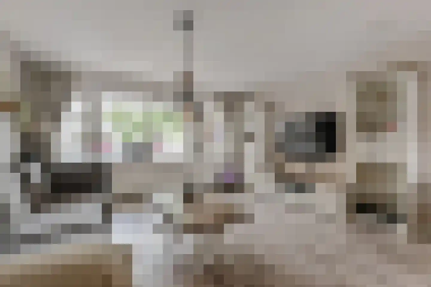 Quirinegang 161 in Zoetermeer