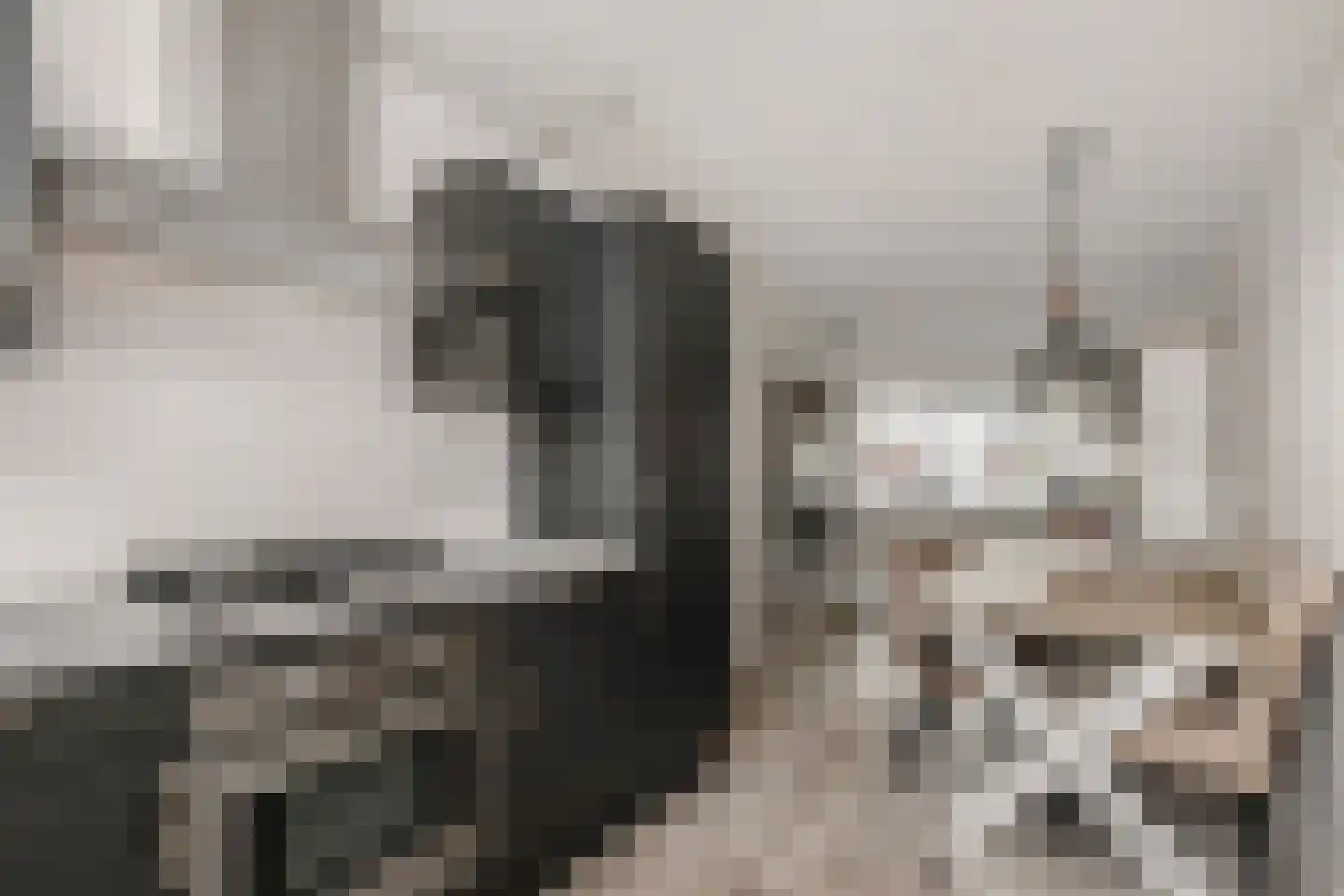 Quirinegang 161 Zoetermeer thumbnail 10