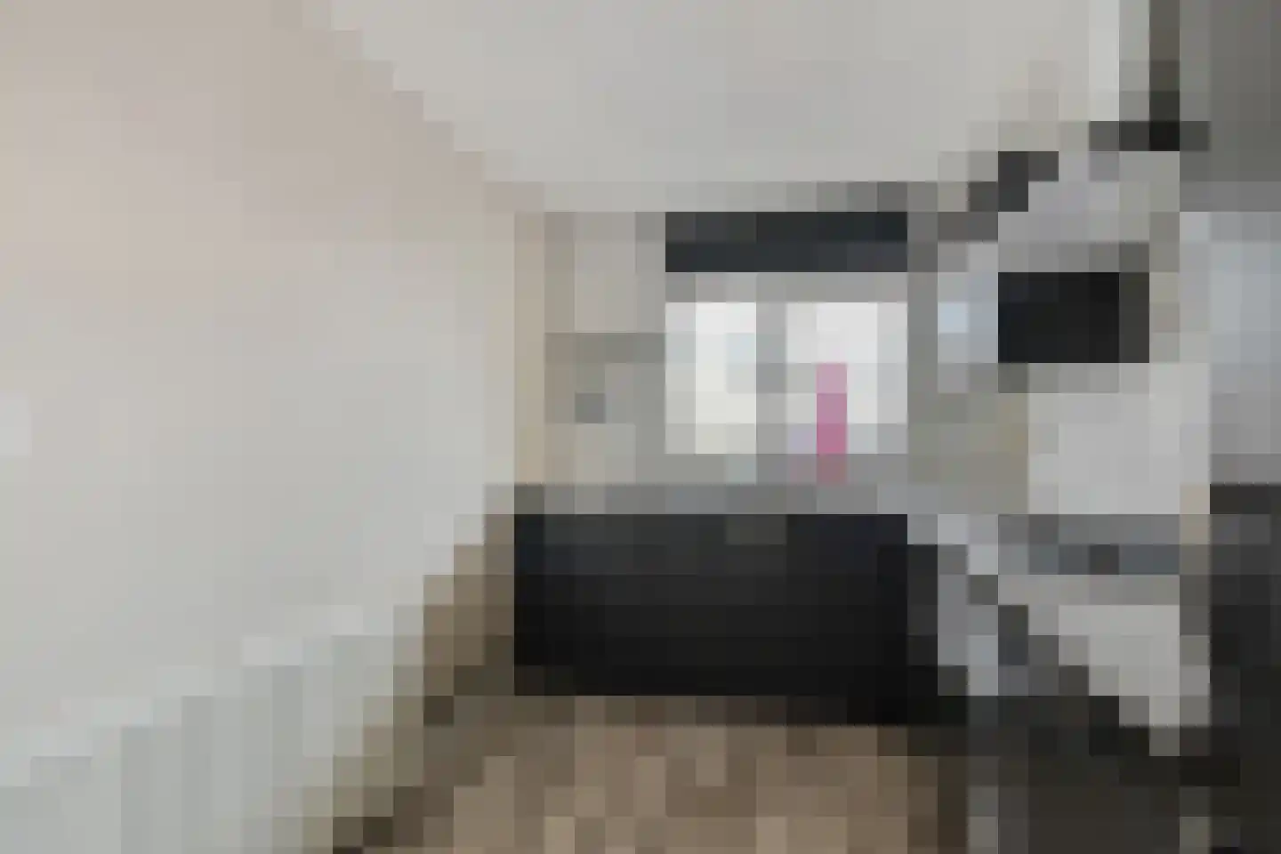 Quirinegang 161 Zoetermeer thumbnail 11