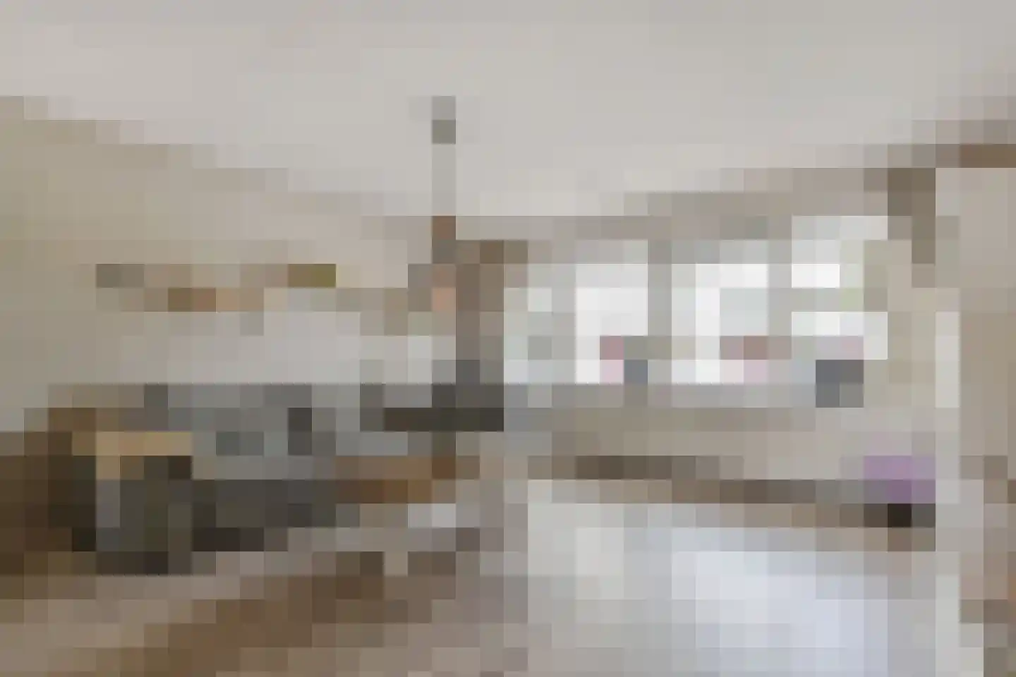 Quirinegang 161 Zoetermeer thumbnail 14