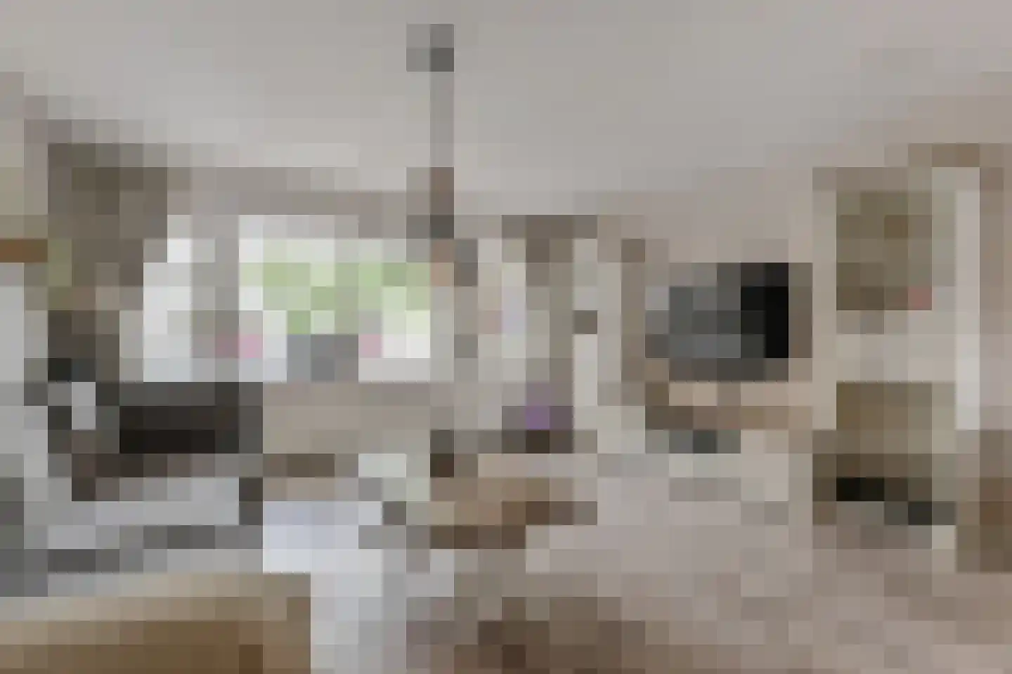 Quirinegang 161 Zoetermeer thumbnail 15