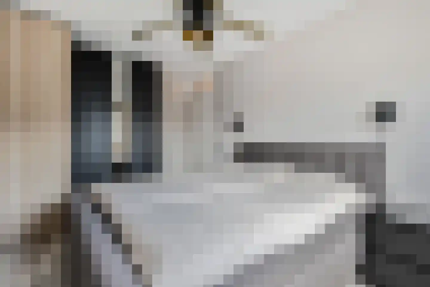 Quirinegang 161 Zoetermeer thumbnail 21