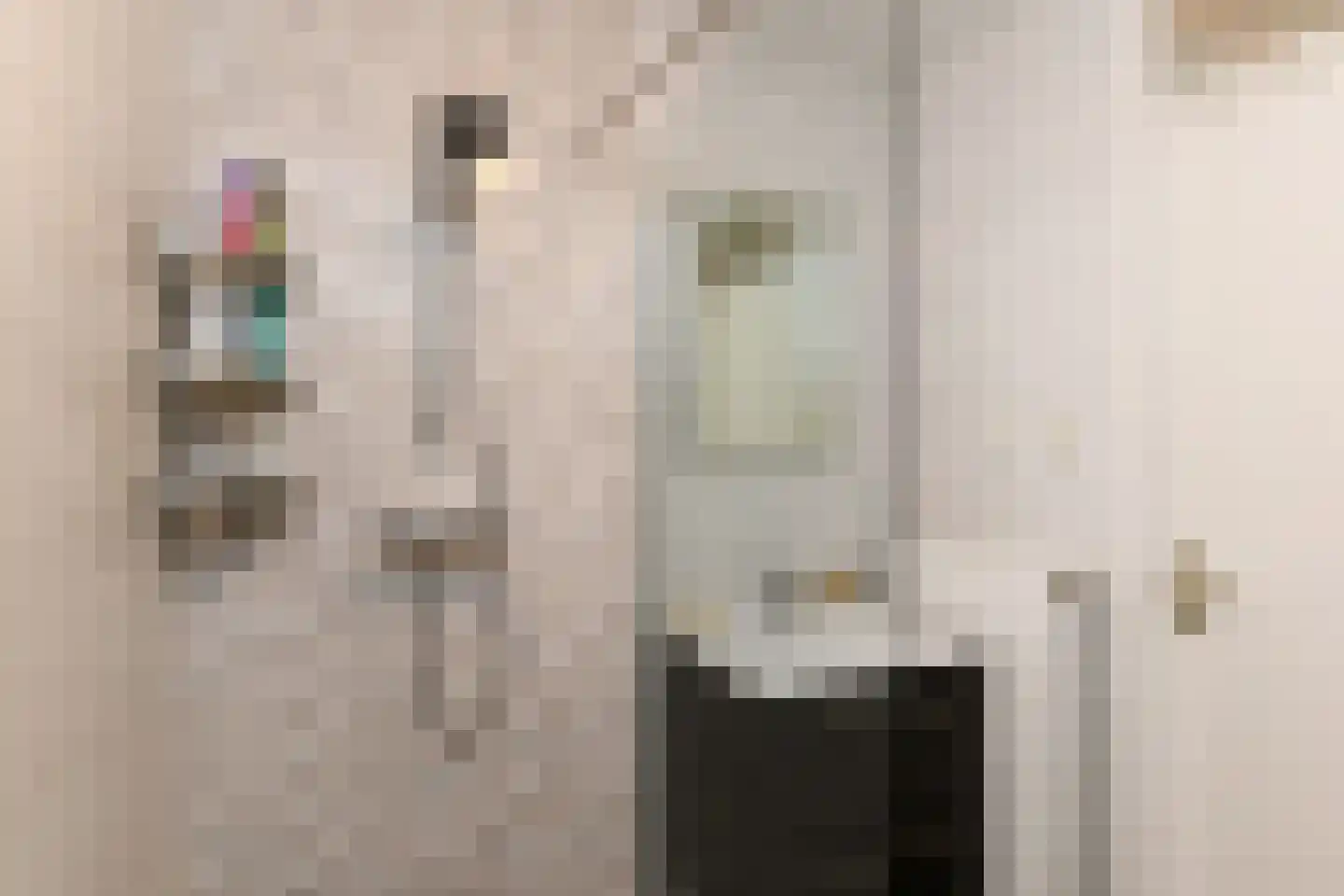 Quirinegang 161 Zoetermeer thumbnail 25