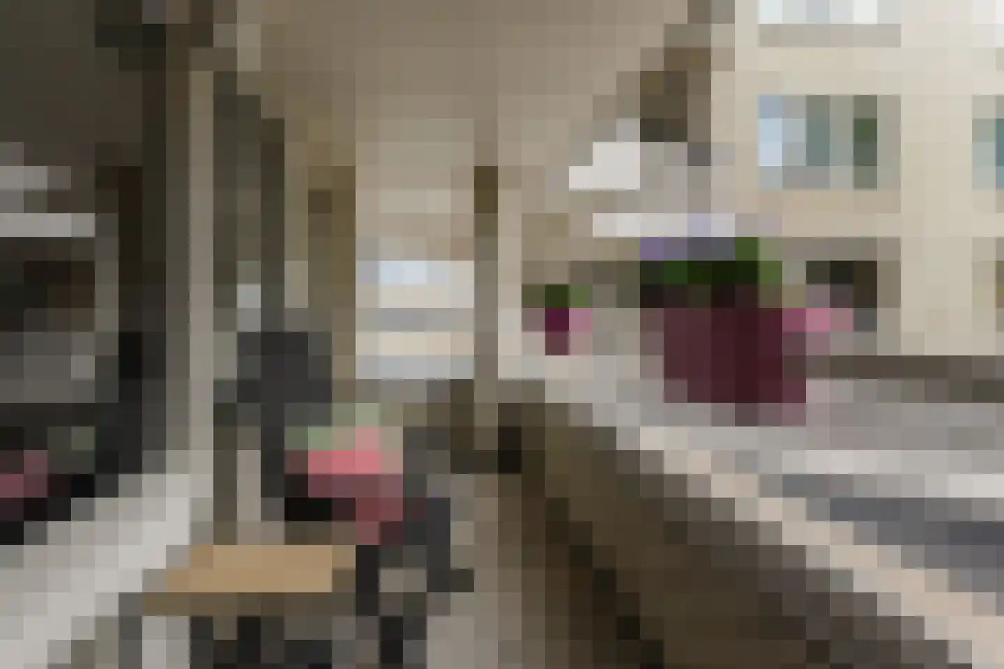 Quirinegang 161 Zoetermeer thumbnail 4