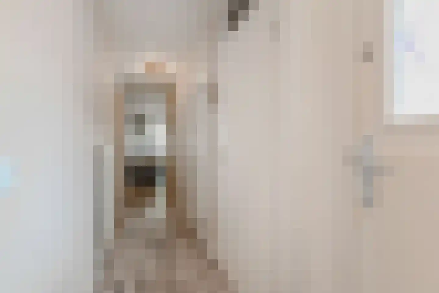 Quirinegang 161 Zoetermeer thumbnail 7