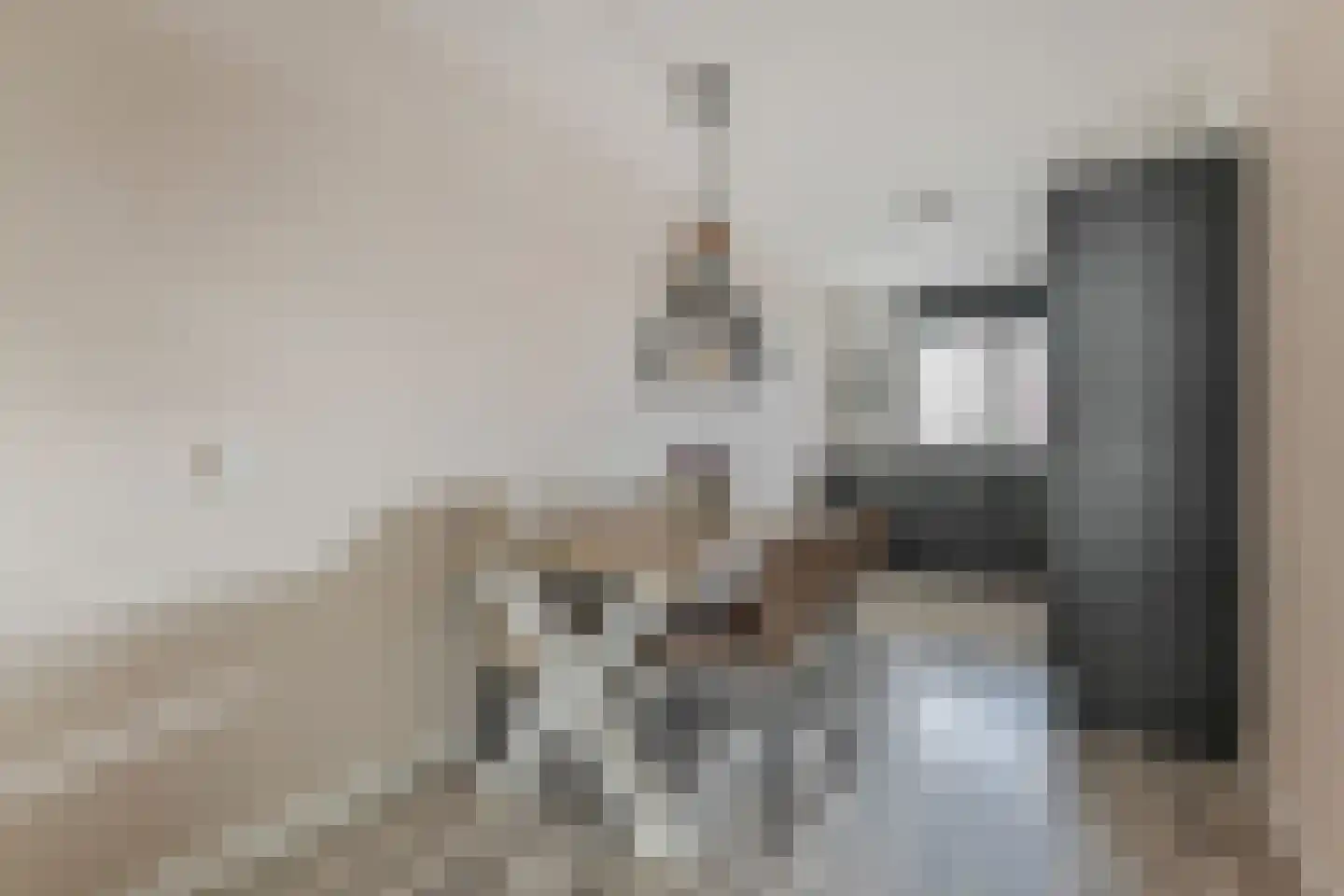 Quirinegang 161 Zoetermeer thumbnail 9
