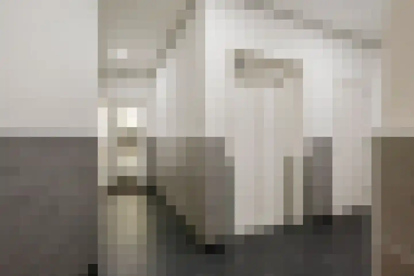 Quirinegang 167 Zoetermeer thumbnail 26