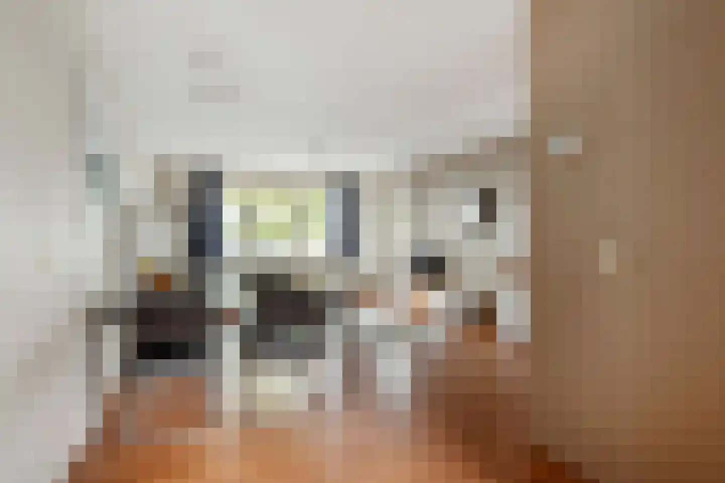 Quirinegang 167 Zoetermeer thumbnail 7